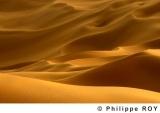 LY000728.jpg