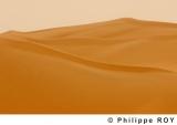 LY000732.jpg