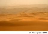 LY000733.jpg