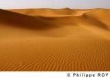 LY000738.jpg