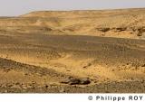 LY000820.jpg