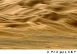LY000821.jpg