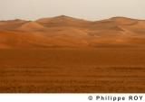 LY000823.jpg