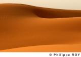 LY000825.jpg