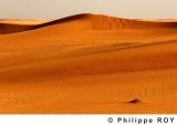 LY000831.jpg