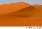 LY000833.jpg