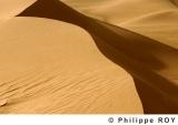 LY000835.jpg
