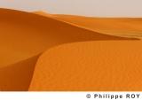 LY000838.jpg