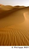 LY000902.jpg