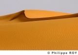 LY000905.jpg