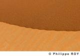 LY000909.jpg
