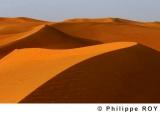 LY000910.jpg