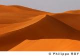 LY000914.jpg