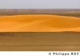 LY000928.jpg