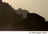 LY001337.jpg