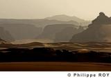LY001338.jpg