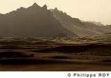 LY001340.jpg