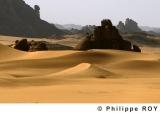 LY001406.jpg
