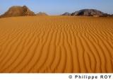 LY001414.jpg