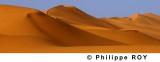LY001706.jpg