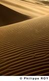 LY001733.jpg