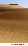 LY001734.jpg