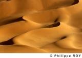 LY001737.jpg