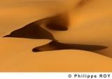 LY001739.jpg