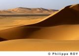 LY001740.jpg
