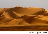 LY001809.jpg