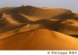 LY001813.jpg