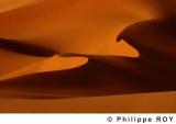 LY001820.jpg