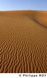 LY002238.jpg