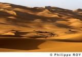 LY002320.jpg