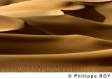 LY002323.jpg