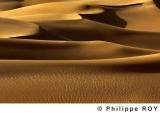 LY002324.jpg
