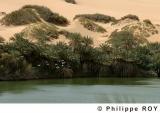 LY002414.jpg