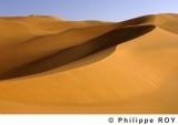 LY002430.jpg