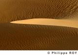 LY002433.jpg