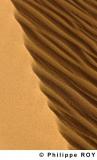 LY002436.jpg