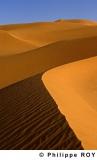 LY002437.jpg