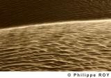 LY002515.jpg