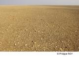 LY003434.jpg