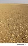 LY003436.jpg