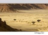 LY003508.jpg