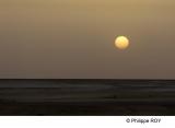 LY003523.jpg