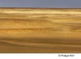 LY003524.jpg