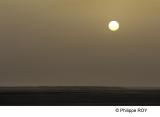 LY003615.jpg