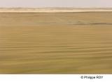 LY003628.jpg