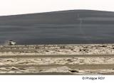 LY003629.jpg